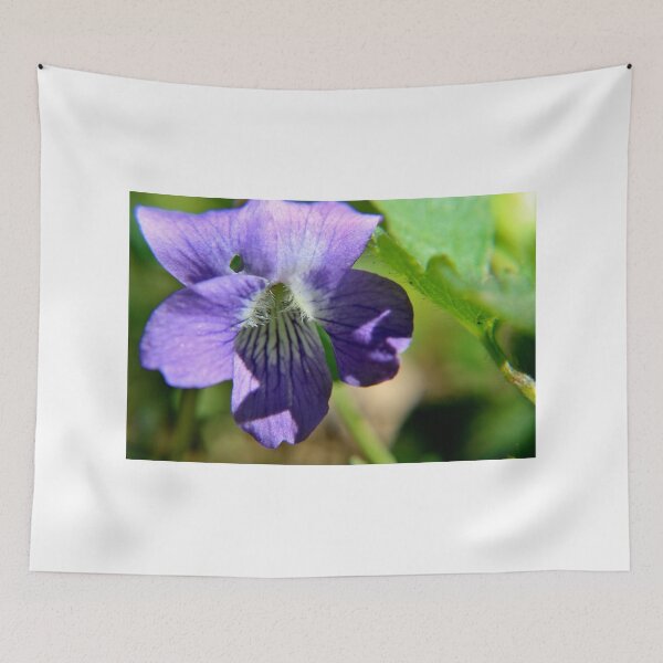 Item preview, Common Blue Violet designed and sold by Kathleen Daley.
