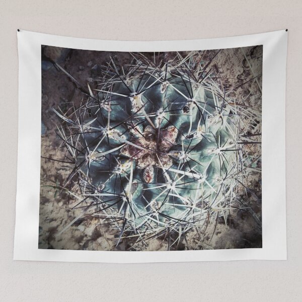 Item preview, Fish Hook Cactus designed and sold by brusling.