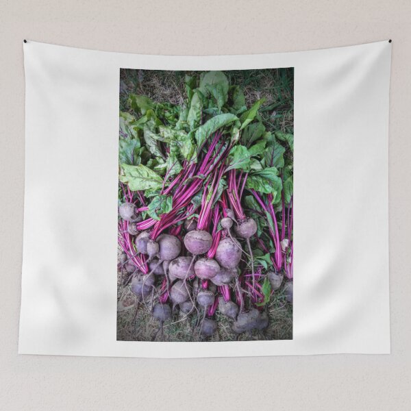 Item preview, Beets designed and sold by brusling.