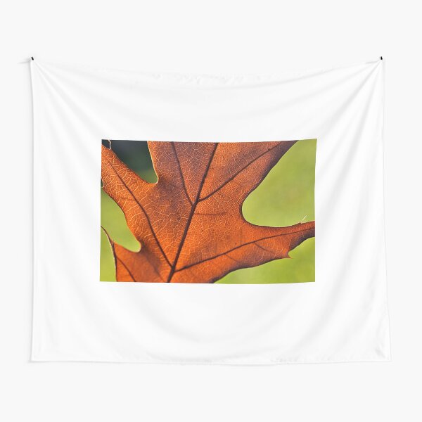 Tapestry