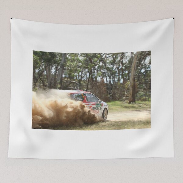 Item preview, Scouts Rally SA 2015 - ARC Leg 3 - Eli Evans designed and sold by Stuart Daddow Photography.