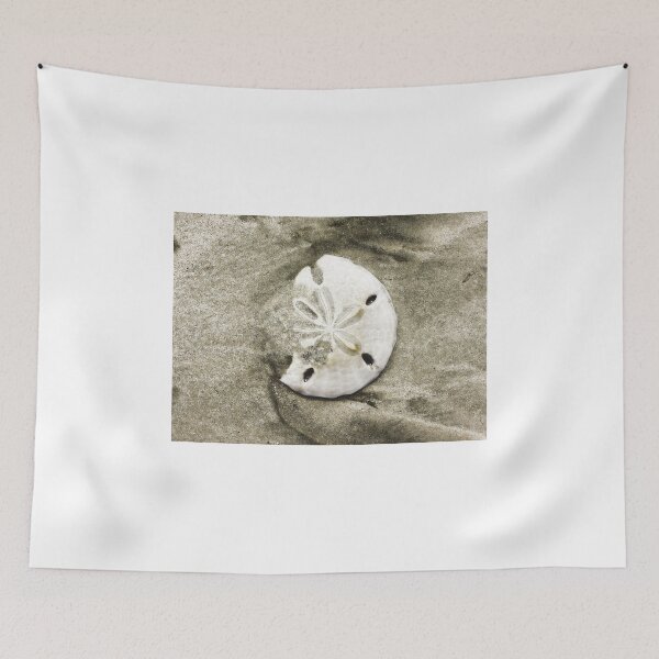 Item preview, Sand Dollar Shell designed and sold by Ron Degroom.