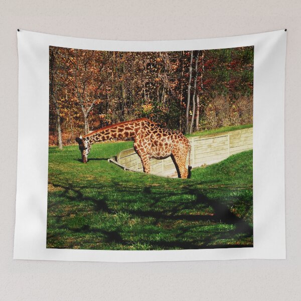 Item preview, FALL SCENIC GIRAFFE APPAREL-PILLOWS-JOURNAL-TOTE BAG,DUVET,SCARF,MENS GRAPHICH TEE SHIRTS ECT... designed and sold by ✿✿ Bonita ✿✿ ђєℓℓσ.
