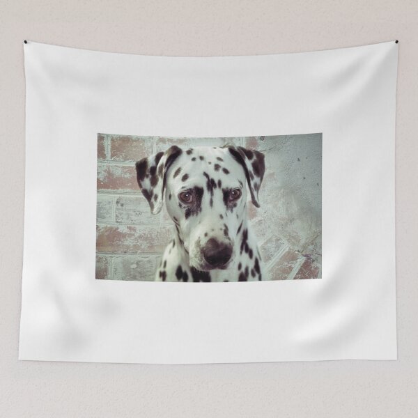 Item preview, Hello Spotty Dog designed and sold by Clare Colins.