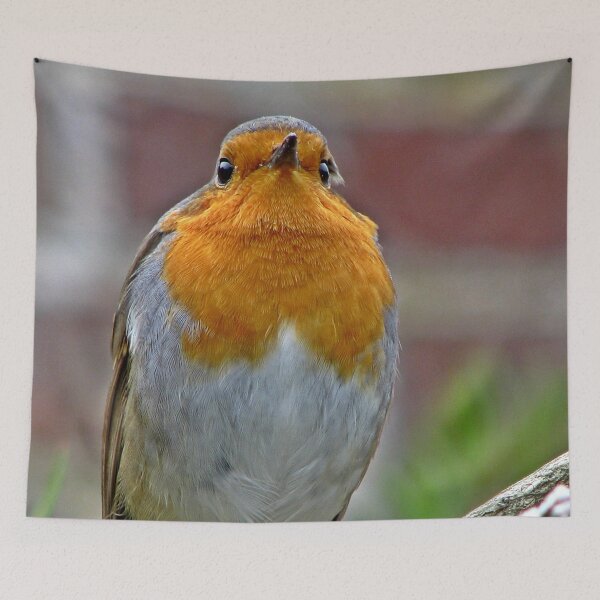 Item preview, FULL FRONTAL designed and sold by mrcoradour.