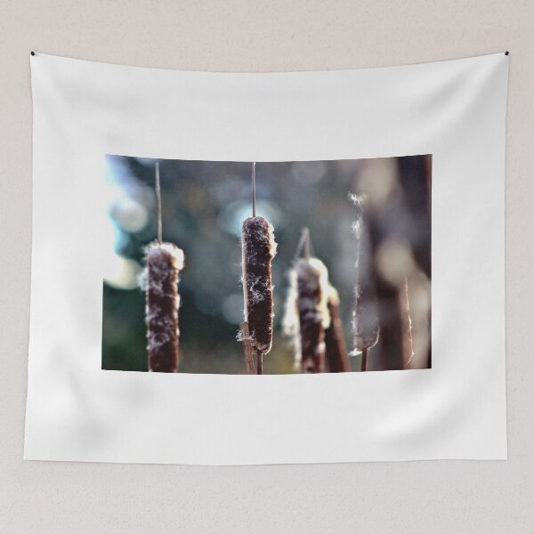 Item preview, The Soft Light of a Late Afternoon II designed and sold by Kathleen Daley.