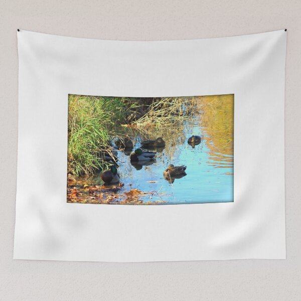 Item preview, Mallard Ducks Relaxing In Pond At George George Park designed and sold by anitahiltz.