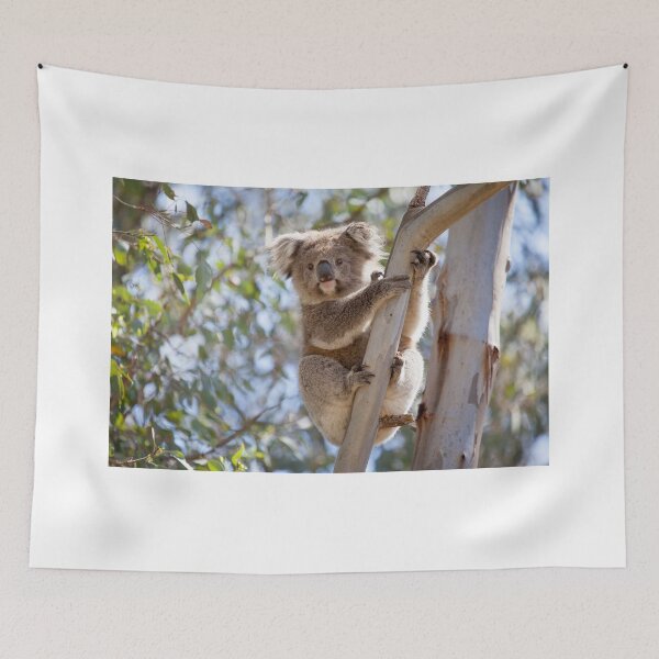 Item preview, Koala  designed and sold by Natalie Ord.
