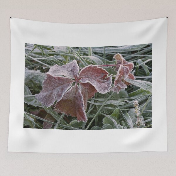 Item preview, Frosted designed and sold by Adam Bykowski.