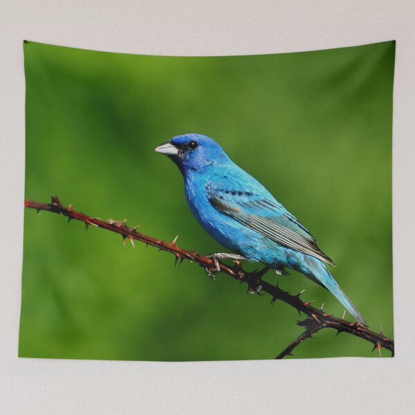 Item preview, Indigo Bunting on green designed and sold by Enola Gay Wagner.