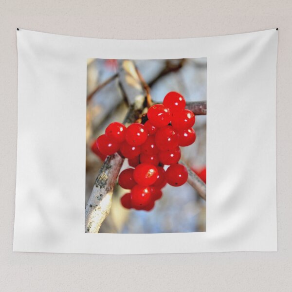Item preview, Ripe Highbush Cranberries designed and sold by Kathleen Daley.