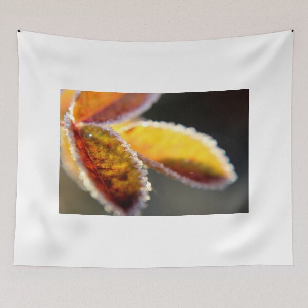 Item preview, Touch of Frost  designed and sold by Kathleen Daley.