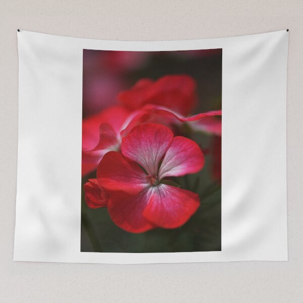 Item preview, Happy Bright Geranium designed and sold by Joy Watson - Natural Light Photography .