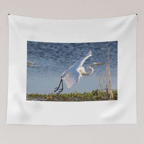 Item preview, Fly Egret  designed and sold by byronbackyard.