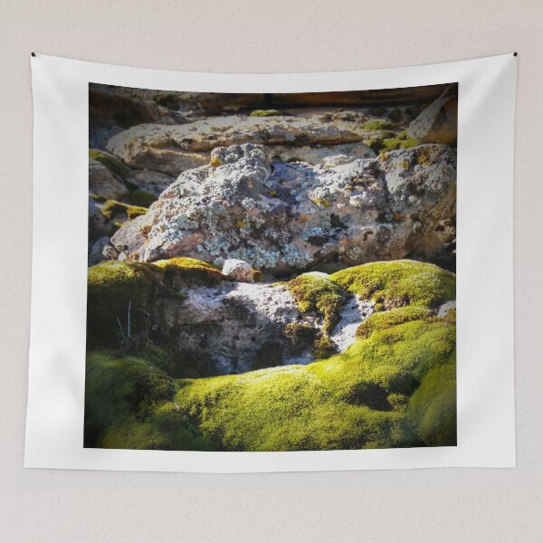 Item preview, Hanging Garden designed and sold by brusling.