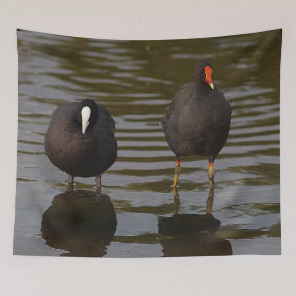 Item preview, Two little dicky birds... designed and sold by Paul Chubb.