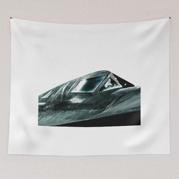 Item preview, SR-71 Blackbird designed and sold by captureasecond.