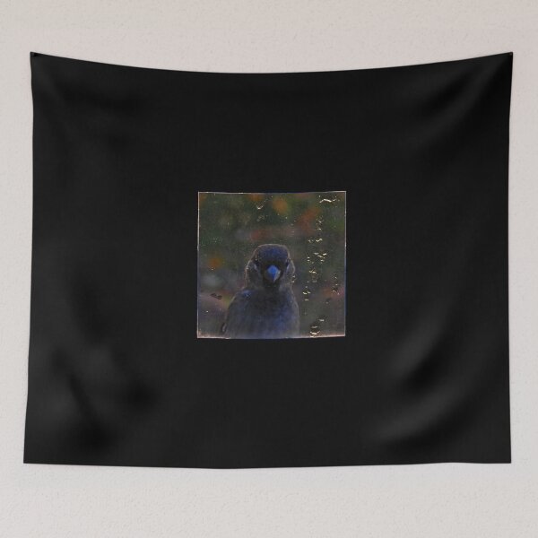 Item preview, Peak-a-Bird designed and sold by sensameleon.