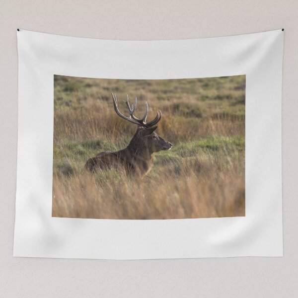 Item preview, Relaxing Deer designed and sold by Matt Malloy.