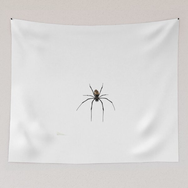 Aperçu de l'œuvre Orb Spider créée et vendue par Barnbk02.