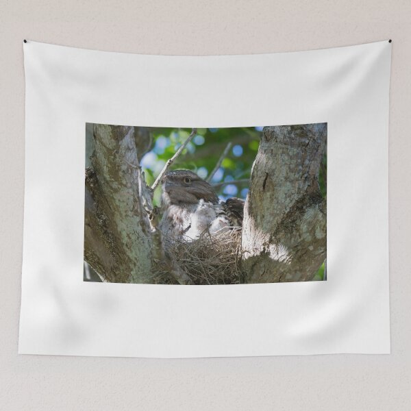 Item preview, Two New Chicks designed and sold by byronbackyard.