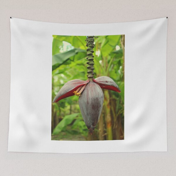 Item preview, A Banana Flower Spike Inflorescence designed and sold by anitahiltz.