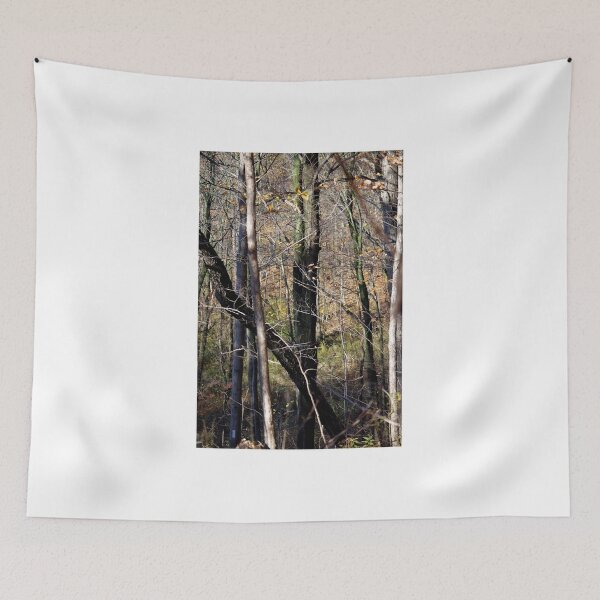 Item preview, Trees Tall and Valley designed and sold by SRosuphotos.