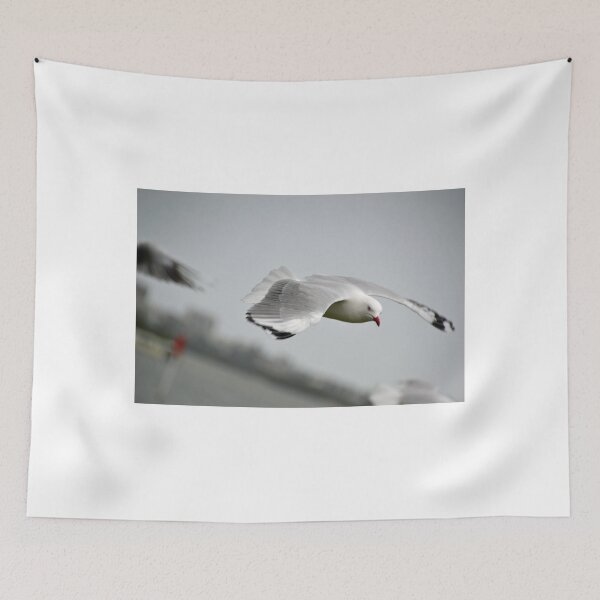 Item preview, Seagull in Flight designed and sold by TheaShutterbug.