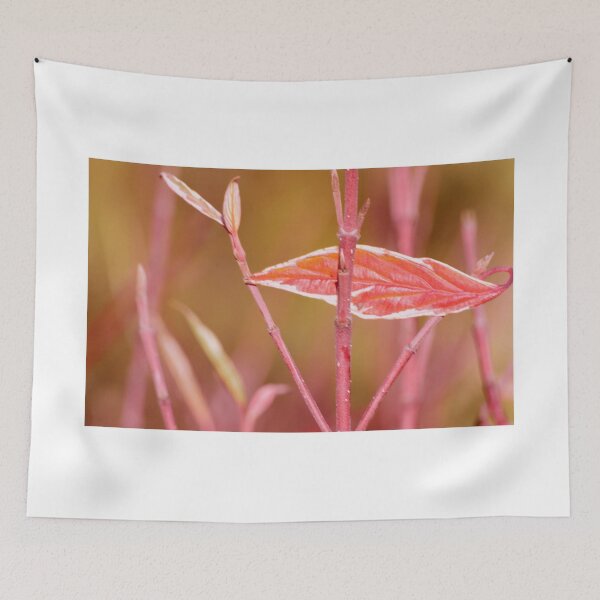 Item preview, leaf designed and sold by Laurie Minor.