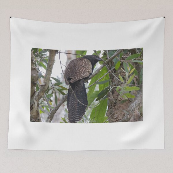 Item preview, Backyard Pheasant designed and sold by byronbackyard.