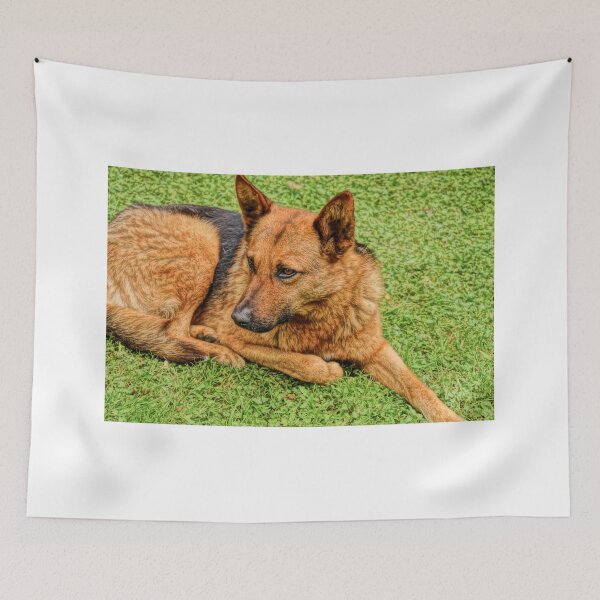 Item preview, 111815 life on the loose designed and sold by pcfyi.
