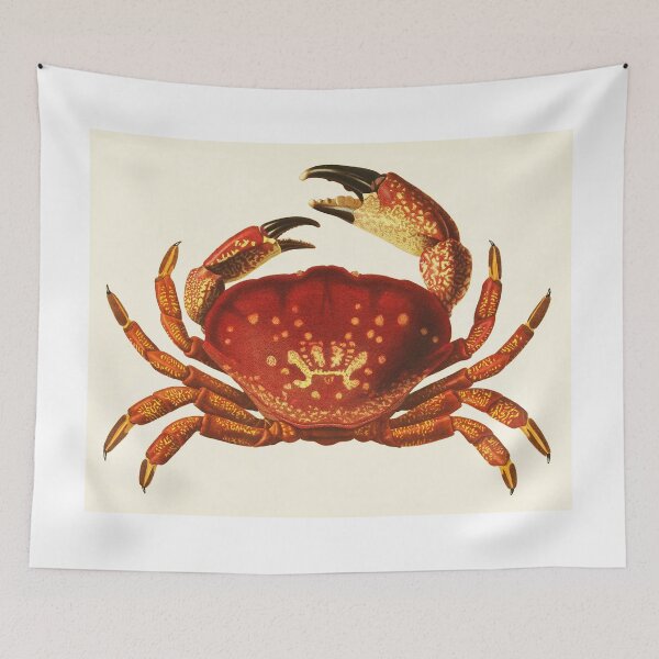 Item preview, Crab illustration designed and sold by Vintage Designs +.