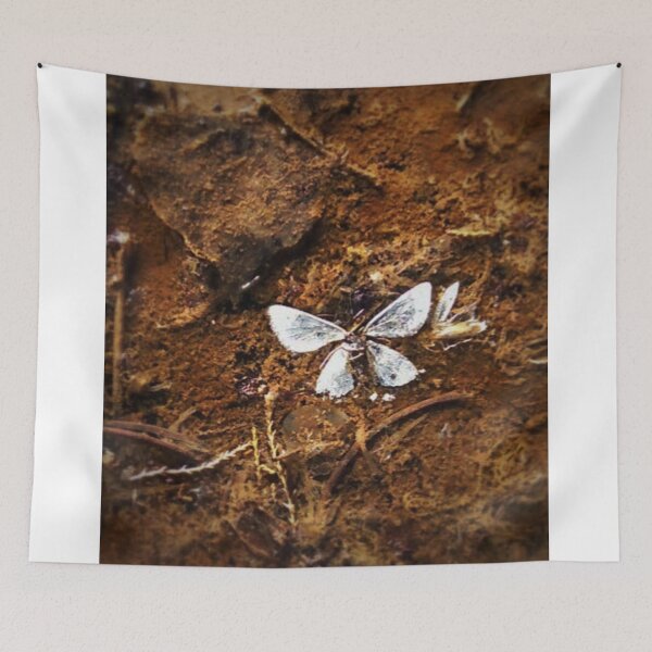 Item preview, Floating Butterfly, Grand Gulch designed and sold by brusling.