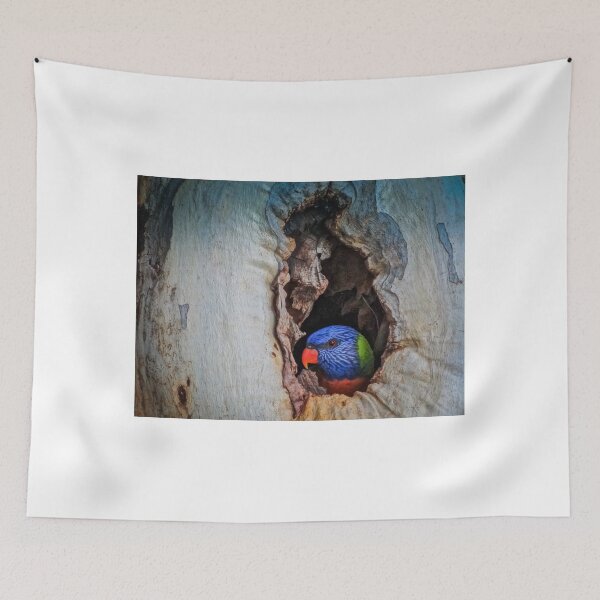 Item preview, Mother protecting her eggs designed and sold by Kim Austin.