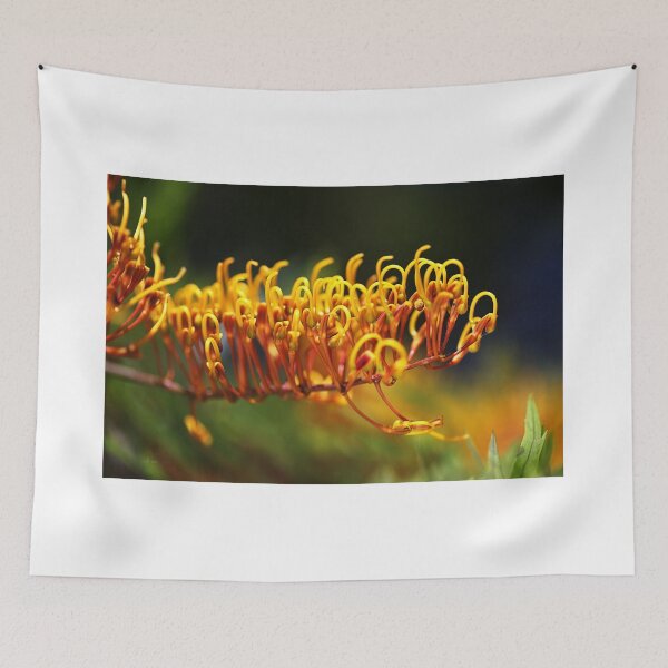 Item preview, Grevillea  Robusta, Silky Oak designed and sold by Joy Watson - Natural Light Photography .