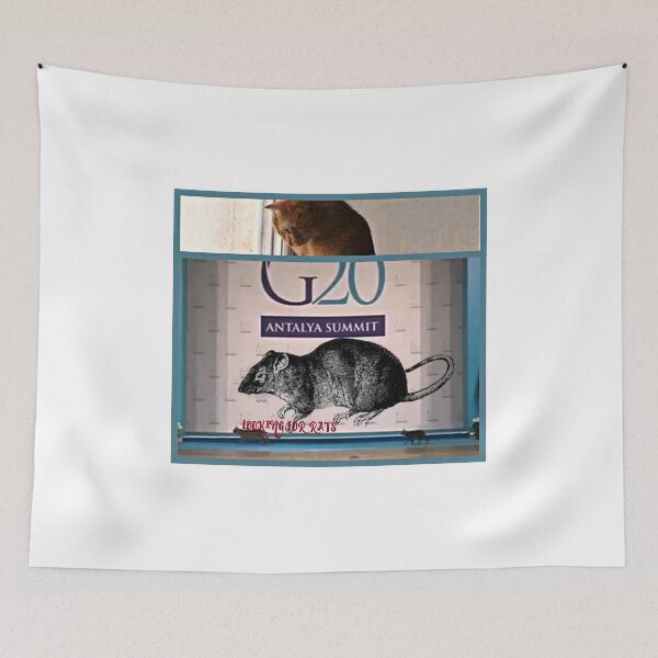 Item preview, looking for rats designed and sold by DMEIERS.