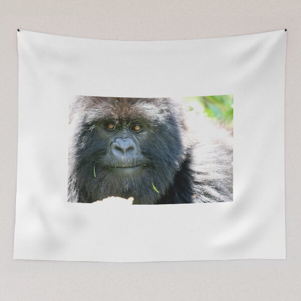 Item preview, Amahoro: Mountain Gorillas of Rwanda designed and sold by David McGilchrist.