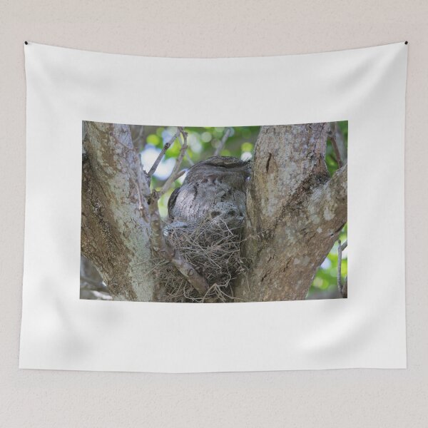 Item preview, Peeping Out designed and sold by byronbackyard.
