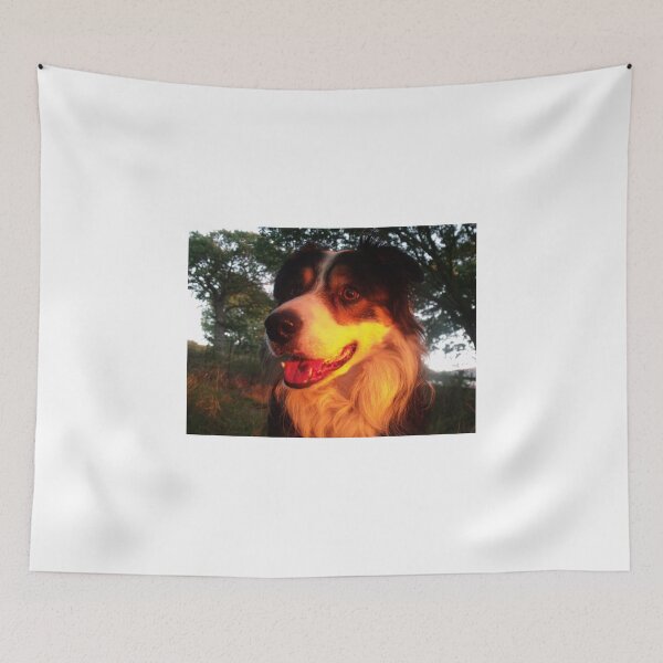 Item preview, Colour me Laddie. designed and sold by Michael Haslam.