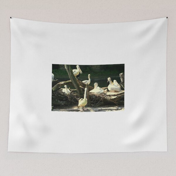 Item preview, Group Of Pelicans Nesting designed and sold by anitahiltz.