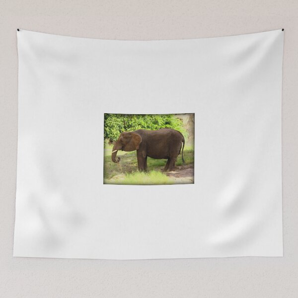 Item preview, Elephant Eating Grass designed and sold by anitahiltz.