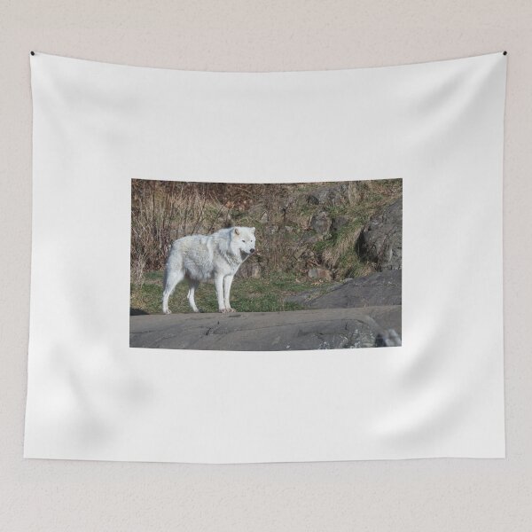 Item preview, A lone Arctic Wolf designed and sold by Josef Pittner.