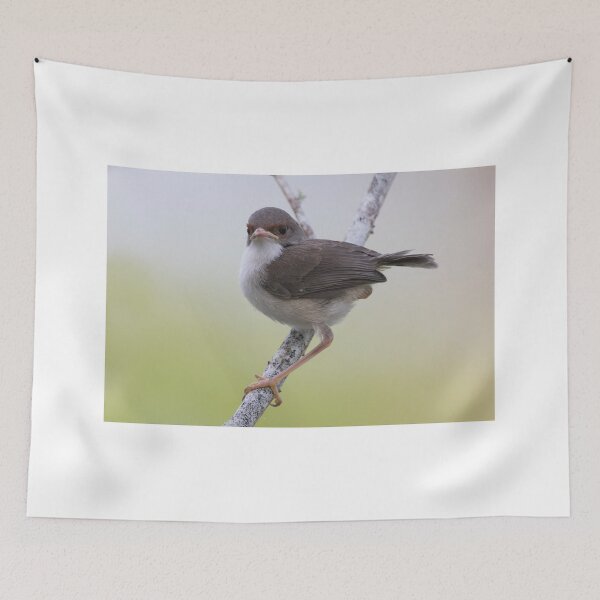 Item preview, I've Got Attitude designed and sold by byronbackyard.