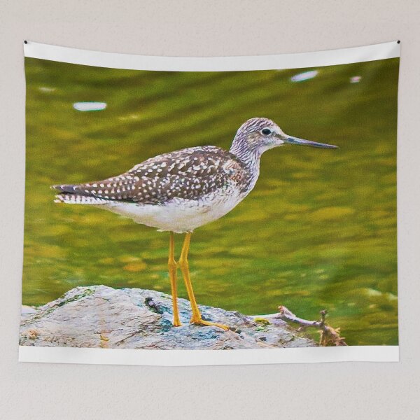 Item preview, Greater Yellowleg Bird on a Rock designed and sold by ADM  Photography.