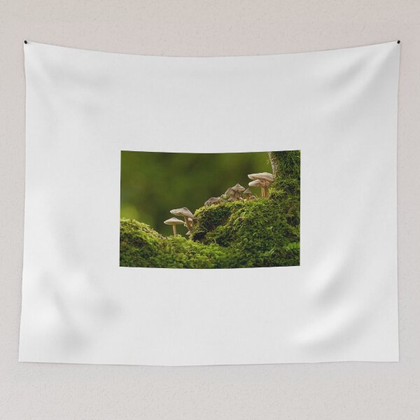 Item preview, Fungi in moss designed and sold by Jenny Hibbert.