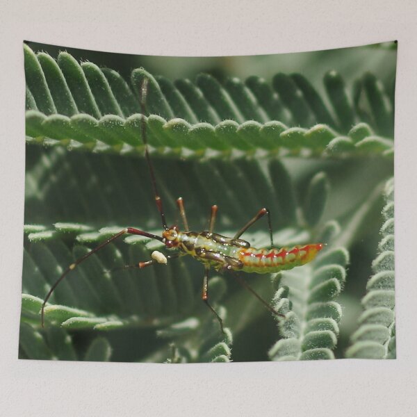 Aperçu de l'œuvre Unknown Insect créée et vendue par Paul Chubb.