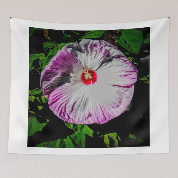 Item preview, Pink Tinged Hibiscus designed and sold by brusling.