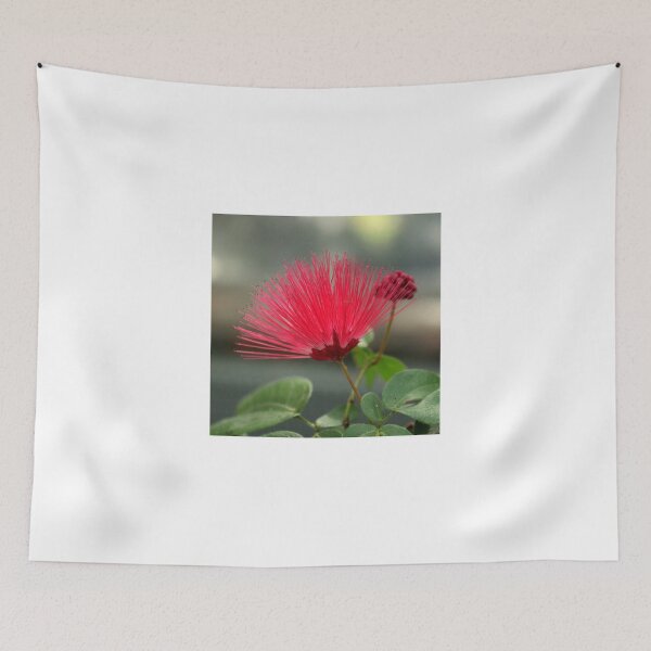 Item preview, Calliandra Powder Puff Flower designed and sold by anitahiltz.