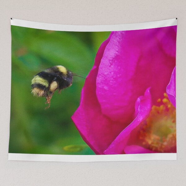 Item preview, Bee Pollinating  designed and sold by ADM  Photography.