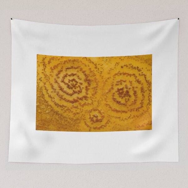Tapestry